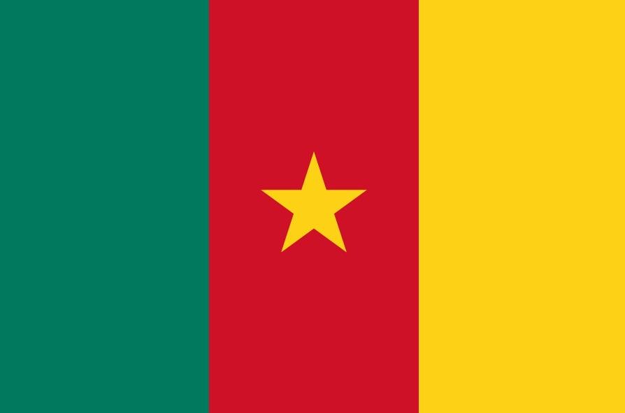 cameroon flag