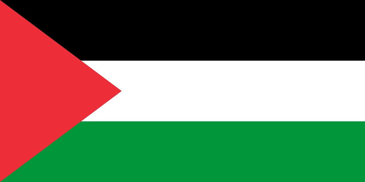 gaza flag