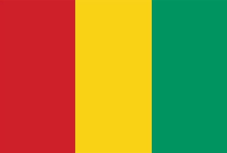 guinea flag