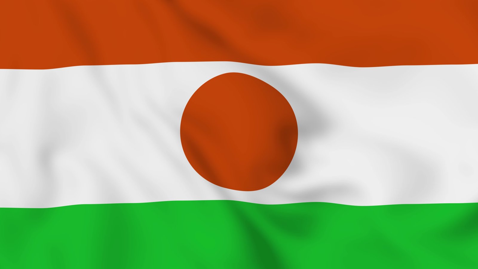 niger flag